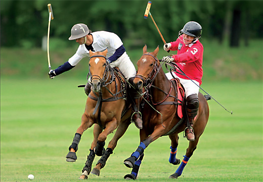 Webdesign Hanseatischer Polo Club