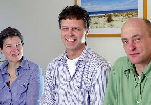 Webdesign Osteopathikum Hamburg